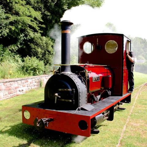 a train that is sitting in the grass