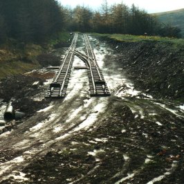 a giraffe walking across a bridge