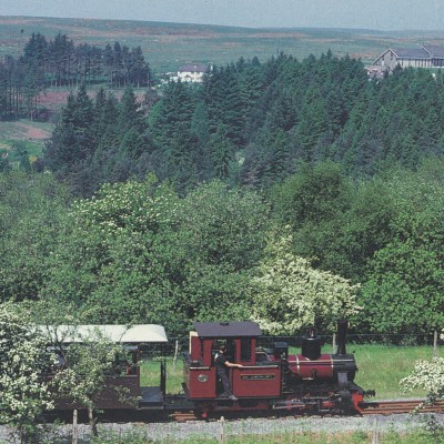 a train traveling down train tracks near a forest
