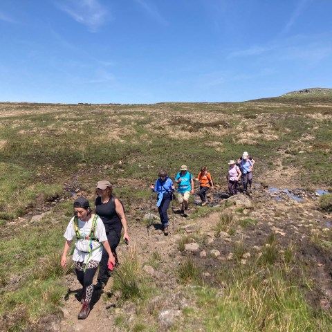 a group of people in a field