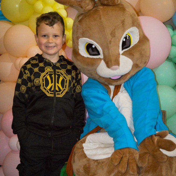 a pile of stuffed animals