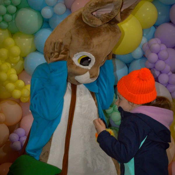 a pile of stuffed animals