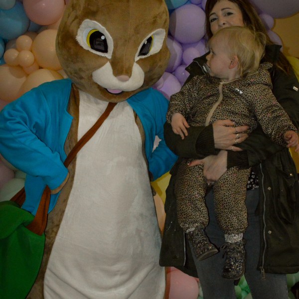 a group of stuffed animals