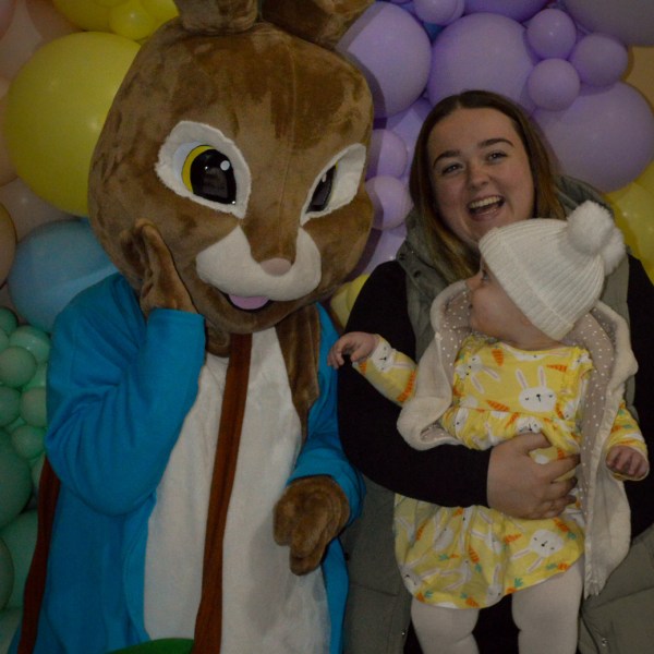 a group of stuffed animals