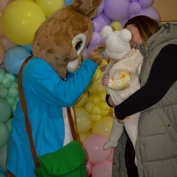 a pile of stuffed animals