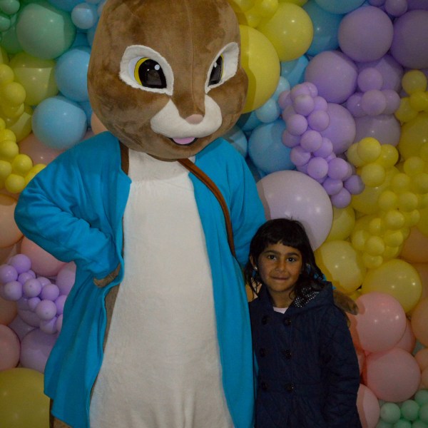 a group of teddy bears on display