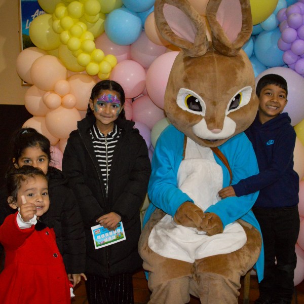 a group of stuffed animals