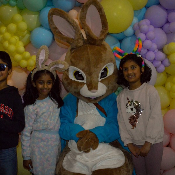 a group of stuffed animals on display