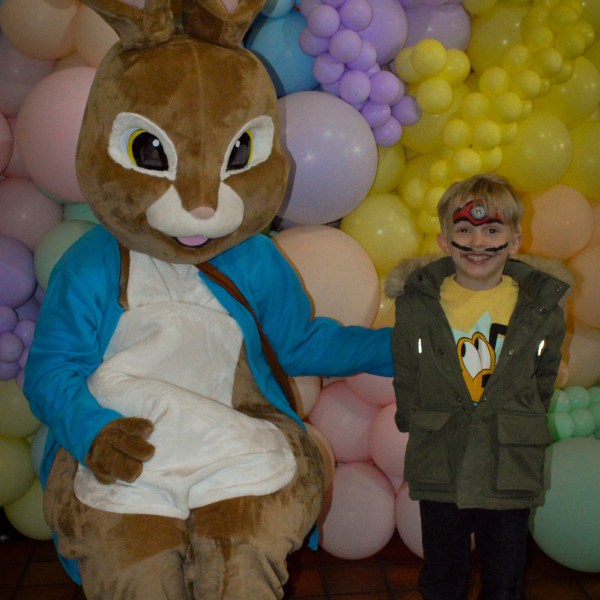 a group of stuffed animals