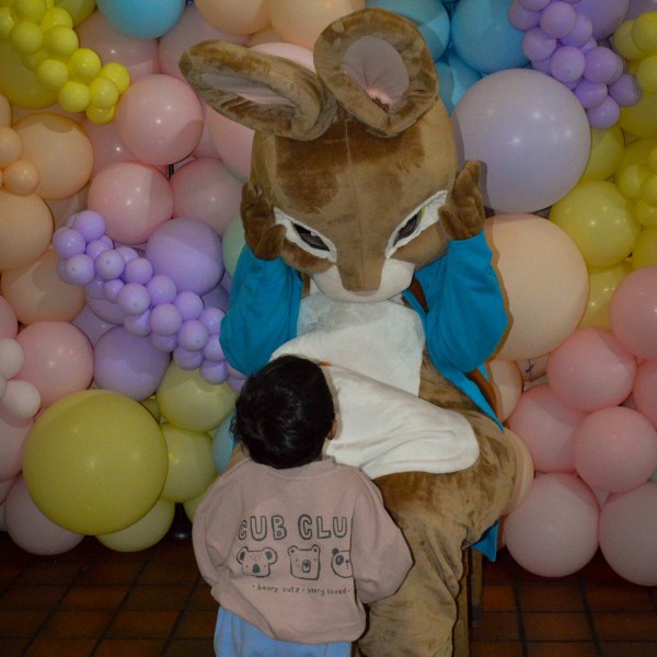 a pile of stuffed animals