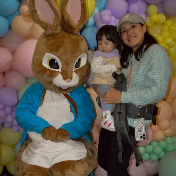 a pile of stuffed animals