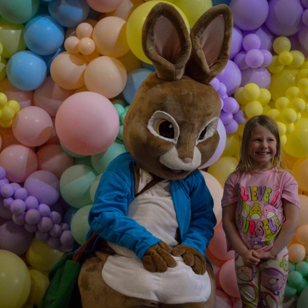 a pile of fruit on display