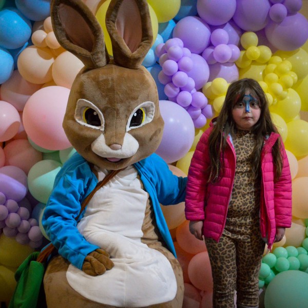a pile of fruit on display