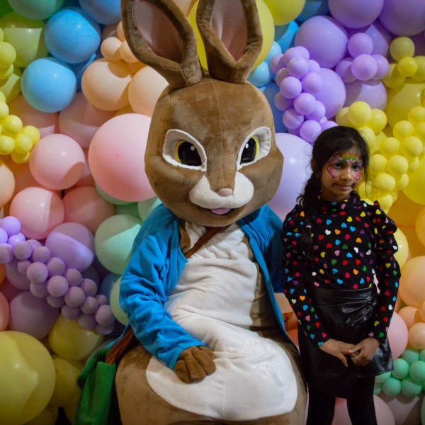 a pile of fruit on display