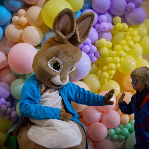 a pile of fruit on display