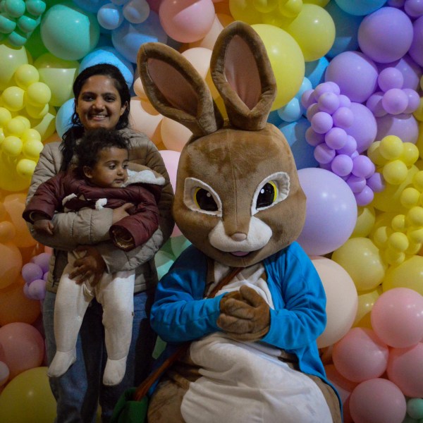 a pile of fruit on display