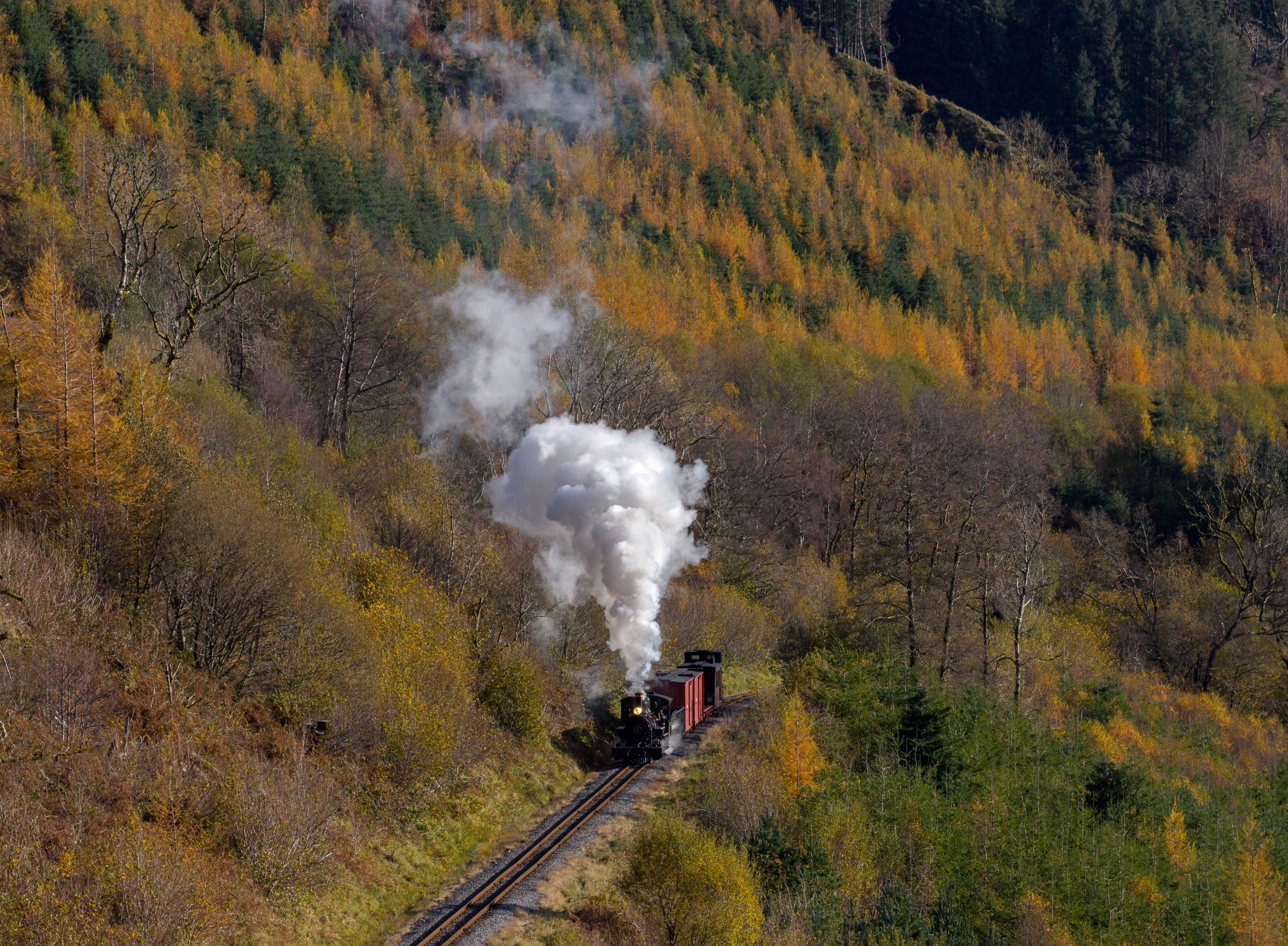 Steam train emitting smoke travels through a colorful forested hillside.