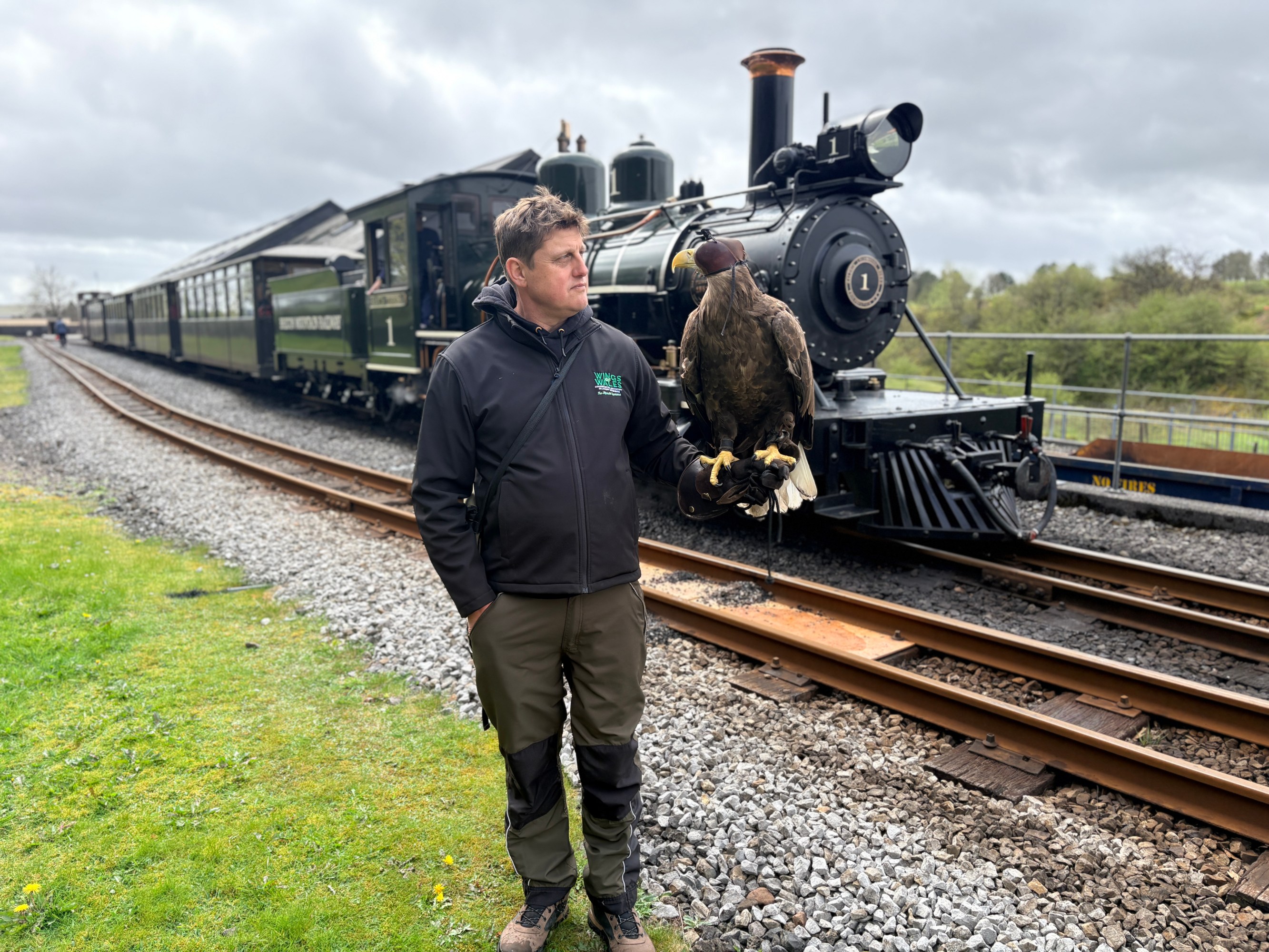 Man holding bird of prey near vintage train on tracks.