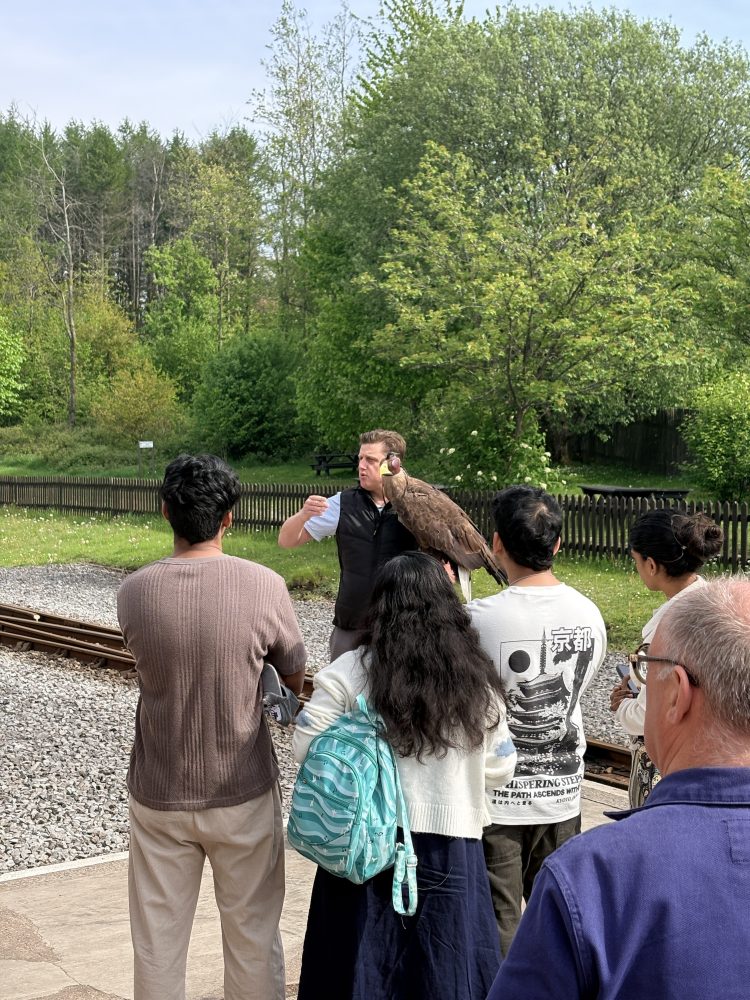 Group of people observing a falcon perched on a handler's arm near train tracks.