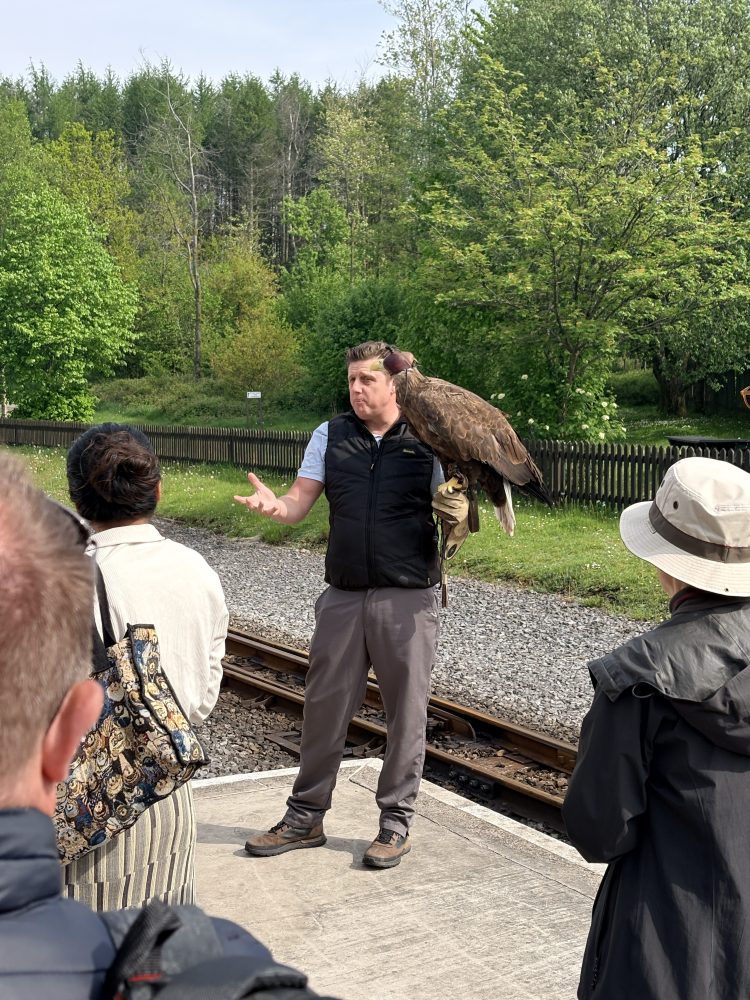 Person holding a large bird of prey, surrounded by people, near a railway track.
